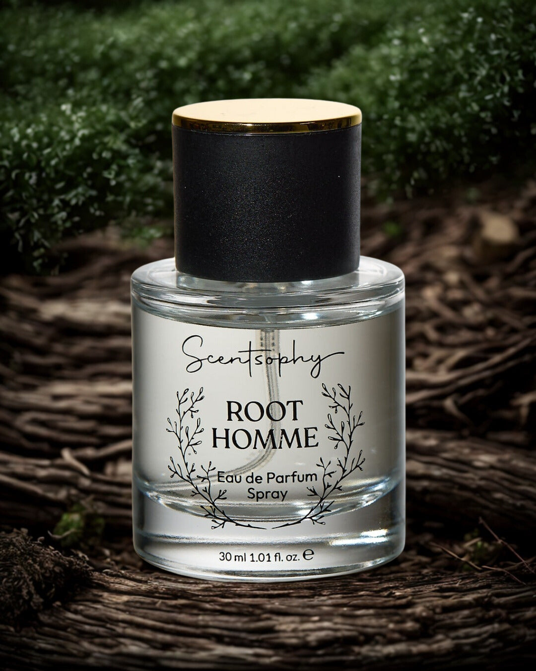 Root Homme